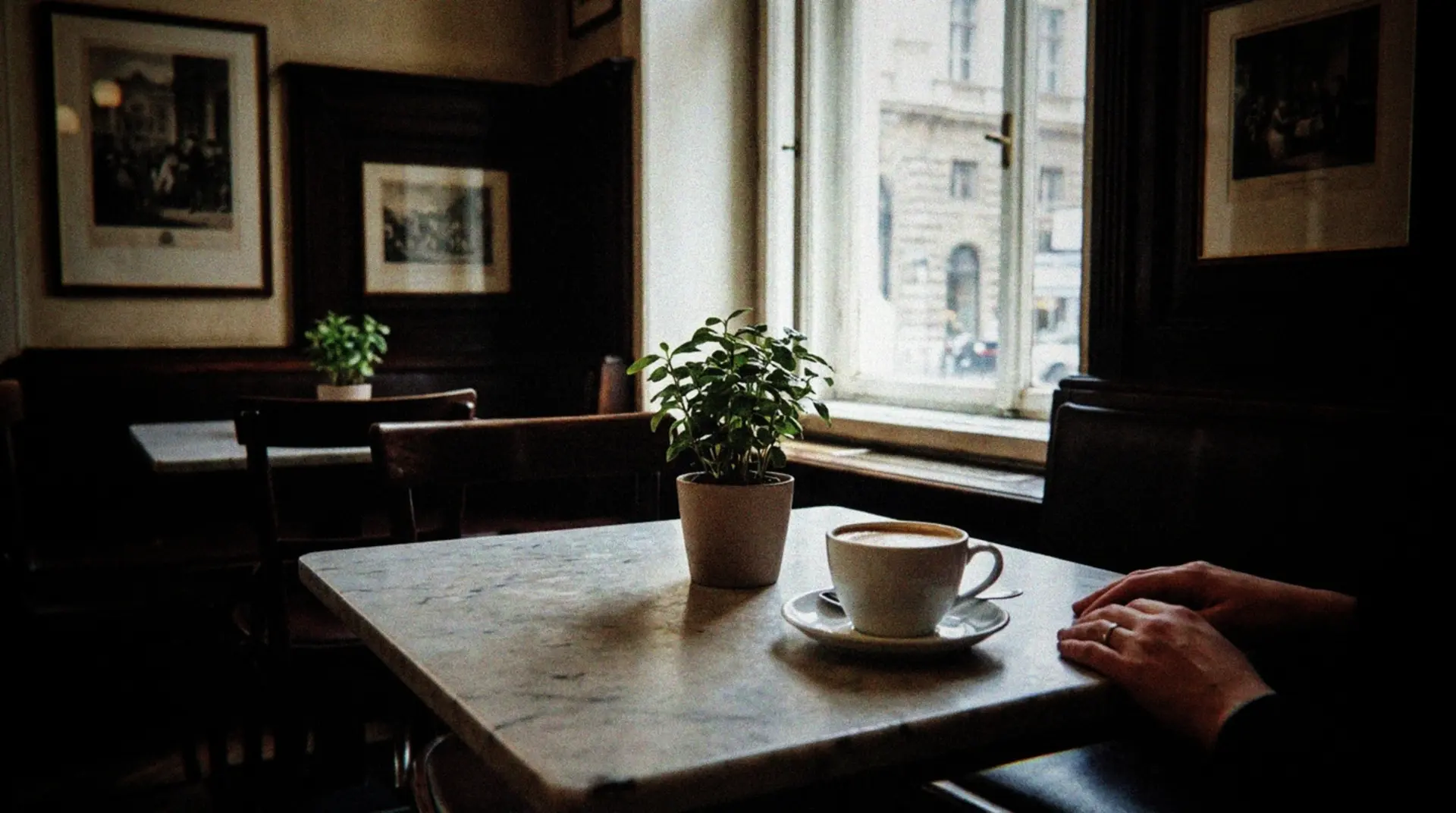 A tranquil corner of a traditional Viennese café with soft natural daylight filtering through tall windows, illuminating a marble table where a cup of melange coffee sits next to a small potted plant. The café is mostly empty, with vintage wooden chairs and classic Habsburg-era décor visible in the background. A person's hands are visible at the edge of the frame, resting peacefully on the table in a mindful pose. Through the window, glimpses of Vienna's historic architecture can be seen, creating a perfect blend of the city's cultural atmosphere and a moment of peaceful contemplation. The image has a candid, unstaged quality, as if captured spontaneously during someone's daily meditation practice.